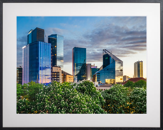 005. Õitsev Tornimäe