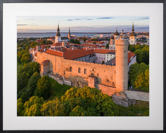 006. Toompea loss