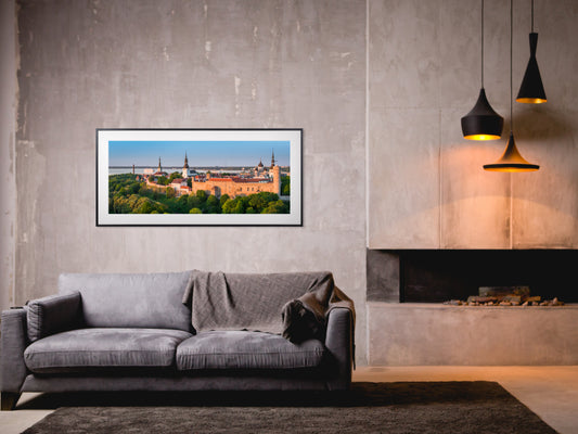 020. Toompea panoraam