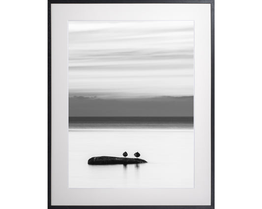 035. Tukuvad, mustvalge