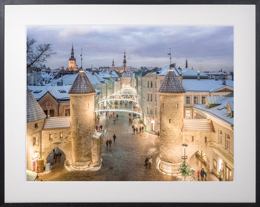 010. Puuderdatud pastellid