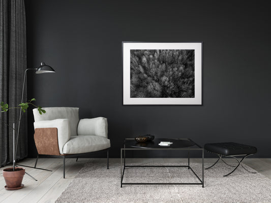 031. Graafiline mets, mustvalge